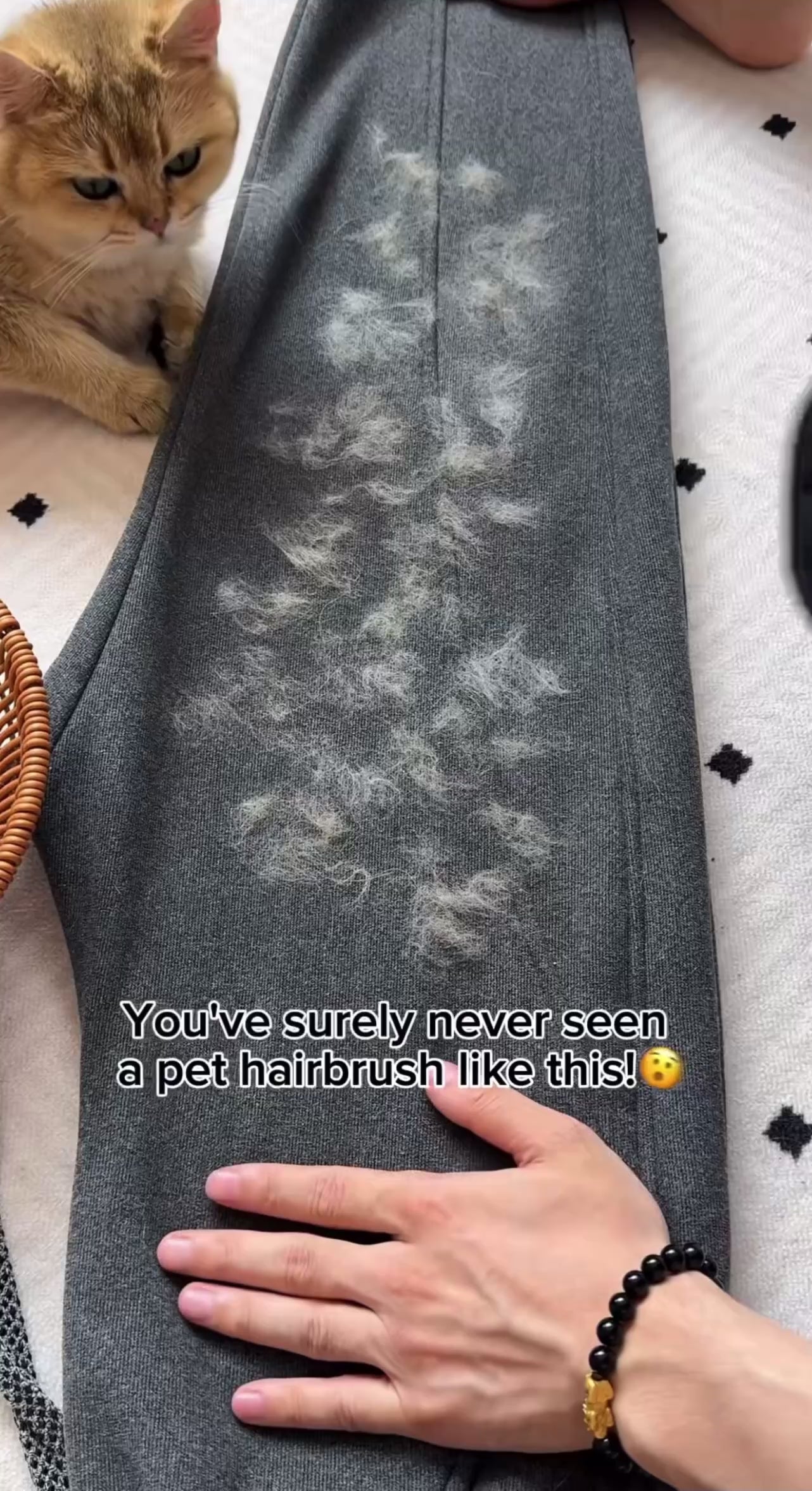 Pet Hair Cleaner